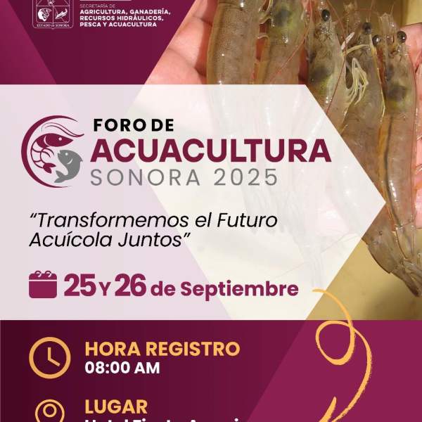 Gobierno de Sonora invita al Foro de Acuacultura Sonora 2025